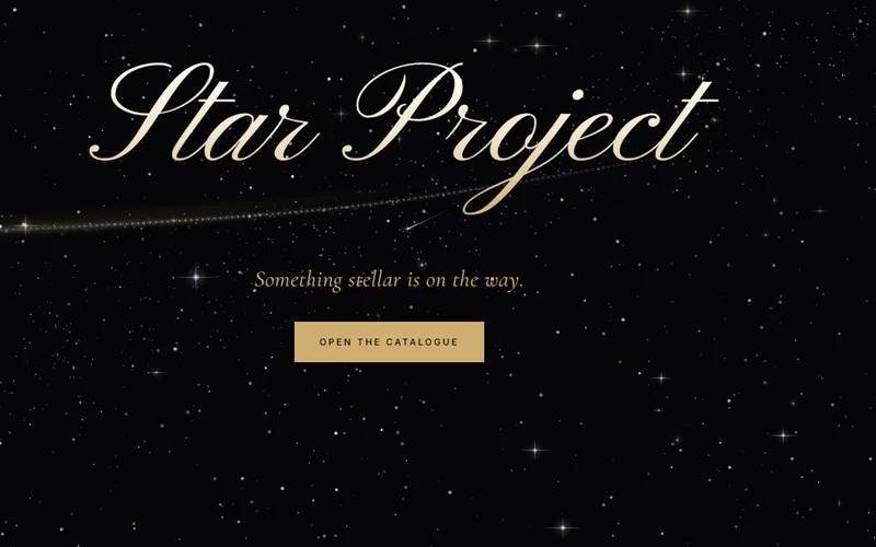 Star Project clothing store website